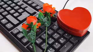 Wie professionelle Heiratsschwindler im Internet die Liebe vorgaukeln