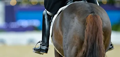 &bdquo;Zungen mit Gummib&auml;ndern straff umwickelt&ldquo; &ndash; Ponys bei abgebrochenem Reitturnier gequ&auml;lt