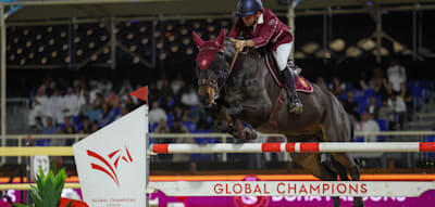 Abgeschossene Drohnen &uuml;ber Reitplatz  &ndash; &bdquo;M&uuml;ssen Pfleger und Pferde rausbekommen&ldquo;