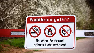 Mittlere Waldbrandgefahr in Teilen Sachsens: Aufruf zum umsichtigen Verhalten in W&auml;ldern