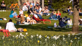 Mildes Wetter in Sachsen: Traumsonne am Wochenende - aber auch Waldbrandrisiko