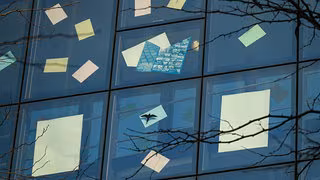 Statt Sticker: Neues Projekt soll V&ouml;gel vor Glasscheiben retten &ndash; und Sie k&ouml;nnen mitmachen