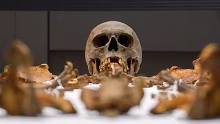 Gebeine im Magdeburger Dom stammen von Otto dem Gro&szlig;en