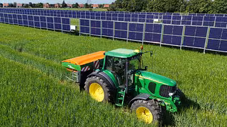 Gem&uuml;seanbau mit Solarzellen: Ist Agri-PV wirtschaftlich sinnvoll?