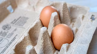 Landwirte rechnen mit Eierknappheit zu Ostern