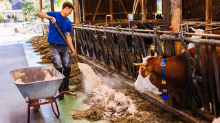 Ausbildung zum Landwirt soll nach 30 Jahren modernisiert werden