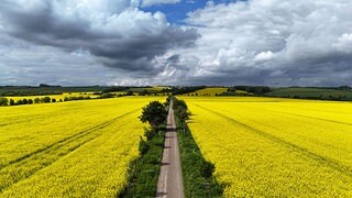 Was alte Bauernregeln heute noch taugen