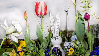 Warum gibt es eigentlich kaum Osterlieder?