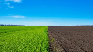 Wie Landwirte doppelt "ernten" k&ouml;nnen