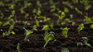 Neues digitales Werkzeug hilft Landwirten beim Bodenschutz