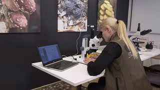 Wie Frauen in der Landwirtschaft Innovationen vorantreiben