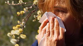 Pollenflug nimmt zu: Warum Allergiker st&auml;rker belastet sind