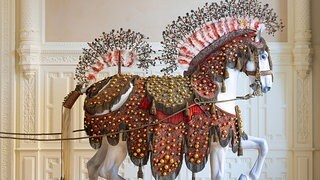 Dresdens Residenzschloss &ouml;ffnet spektakul&auml;re R&auml;ume