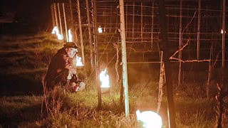 Bauern in Sachsen trotzen Nachtfrost mit Kerzen und Feuern