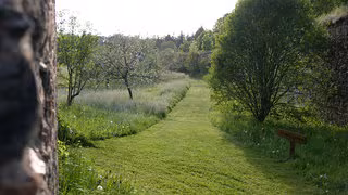 "Wichtig f&uuml;r uns alle": Warum Streuobstwiesen erhalten werden m&uuml;ssen