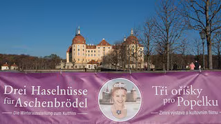 Sohn von "Aschenbr&ouml;del"-Darstellerin klagt wegen Ausstellung auf Schloss Moritzburg