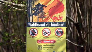 Waldbrandgefahr in Mitteldeutschland steigt