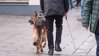 Warum seit drei Jahren keine neuen Assistenzhunde mehr zugelassen werden k&ouml;nnen