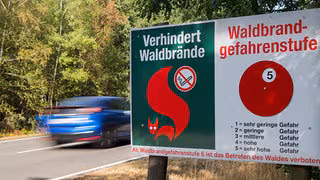 Sommerliche Temperaturen lassen Waldbrandgefahr steigen